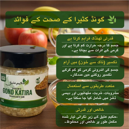 Gond Katira